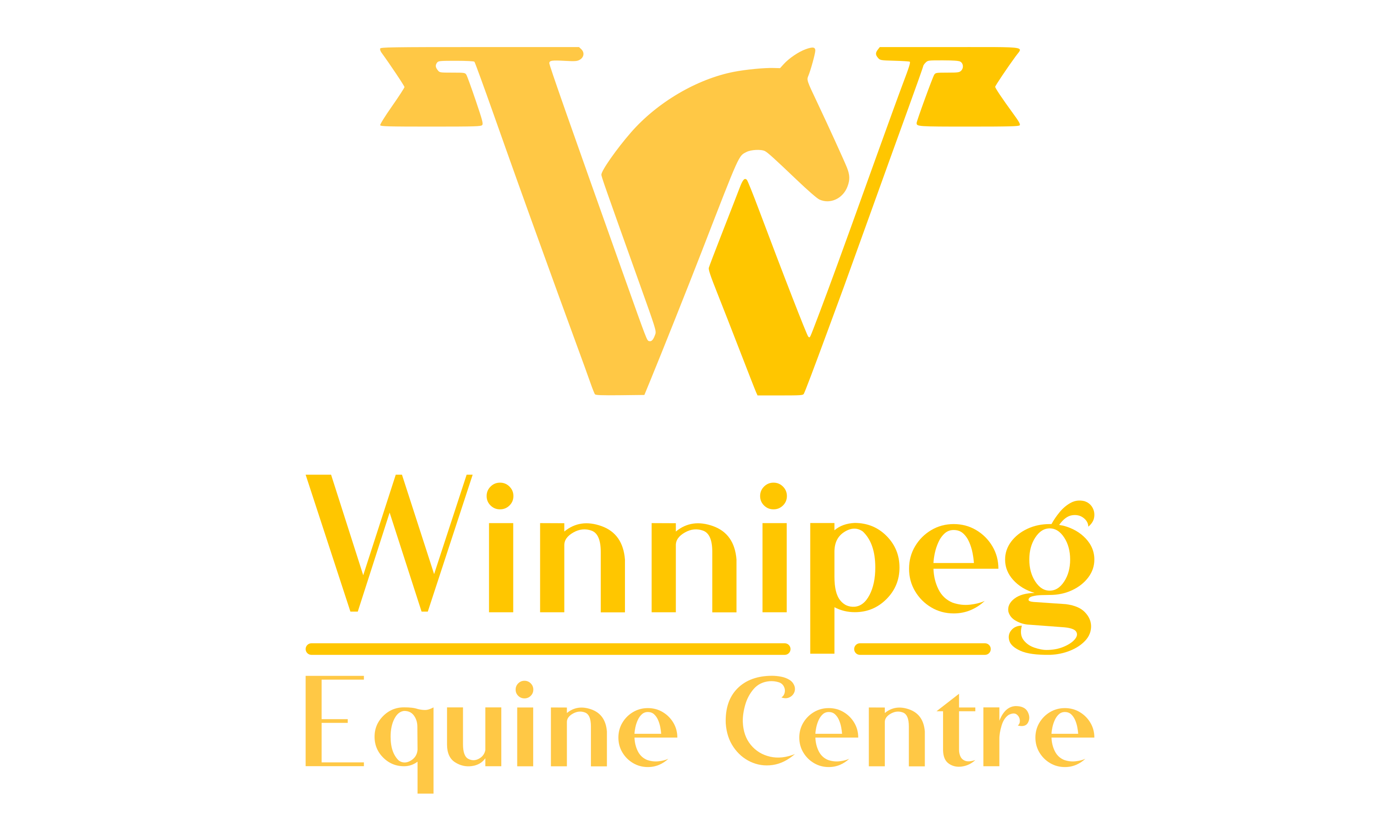 Winnipeg Equine Centre Inc logo